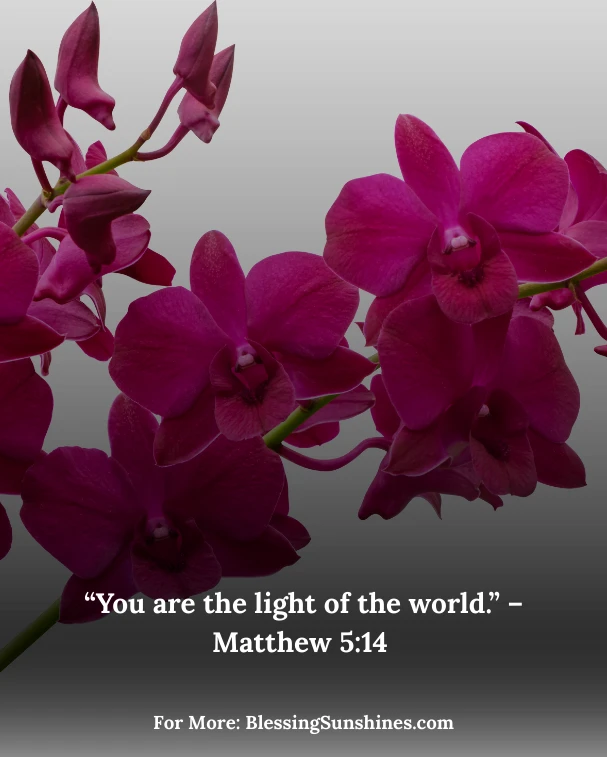 Happy Birthday Blessings Images