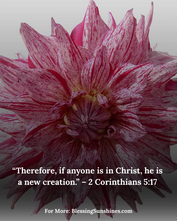Happy Birthday Blessings Images