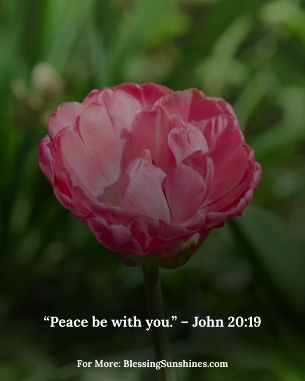 Happy Birthday Blessings Images