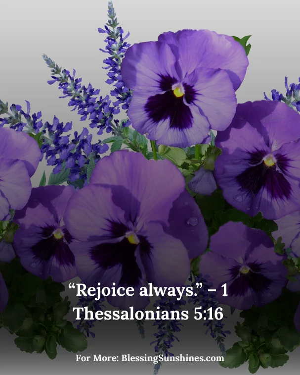 Happy Birthday Blessings Images