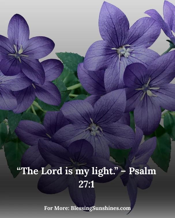 Happy Birthday Blessings Images