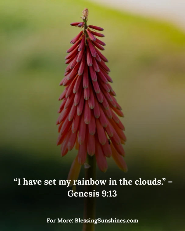 Happy Birthday Blessings Images