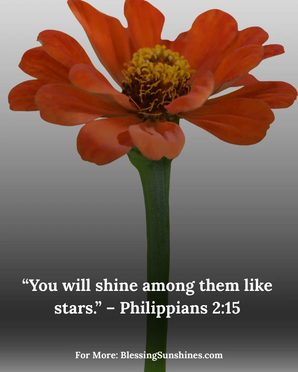 Happy Birthday Blessings Images