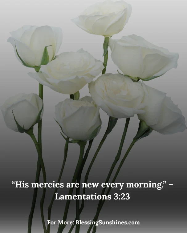Happy Birthday Blessings Images