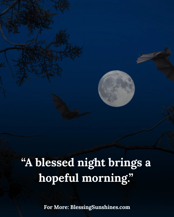Inspiring Good Night Quotes & Sayings
