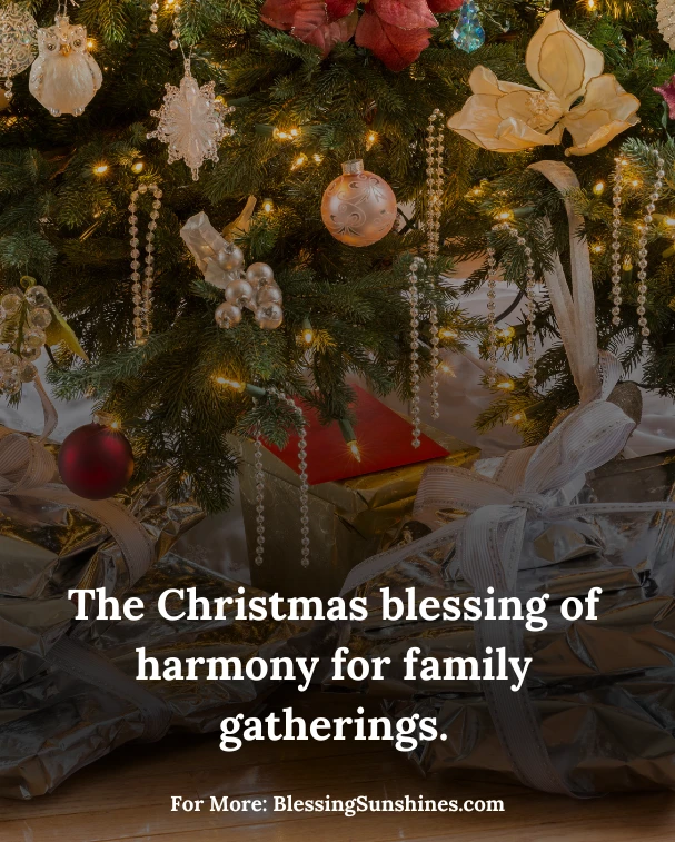 Merry Christmas Blessings for Family & Friends