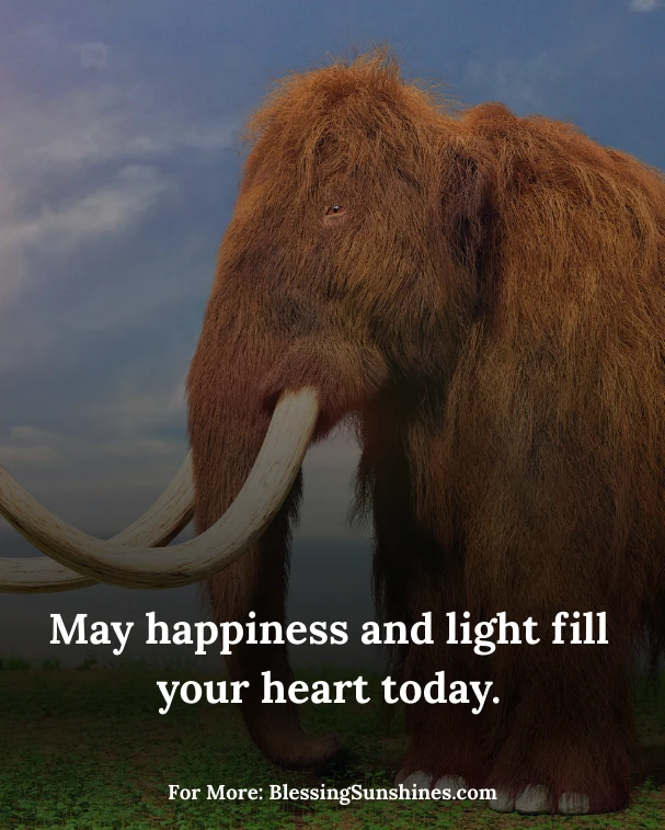 Positive Good Morning Blessings