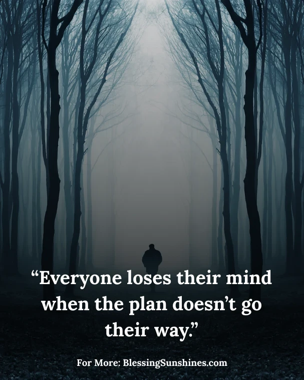 Philosophical Dark Knight Quotes, “Everyone loses their mind when the plan doesn’t go their way.”