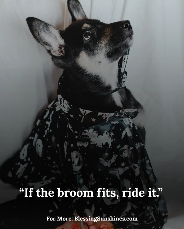 Short Halloween Quotes for Quick Sharing