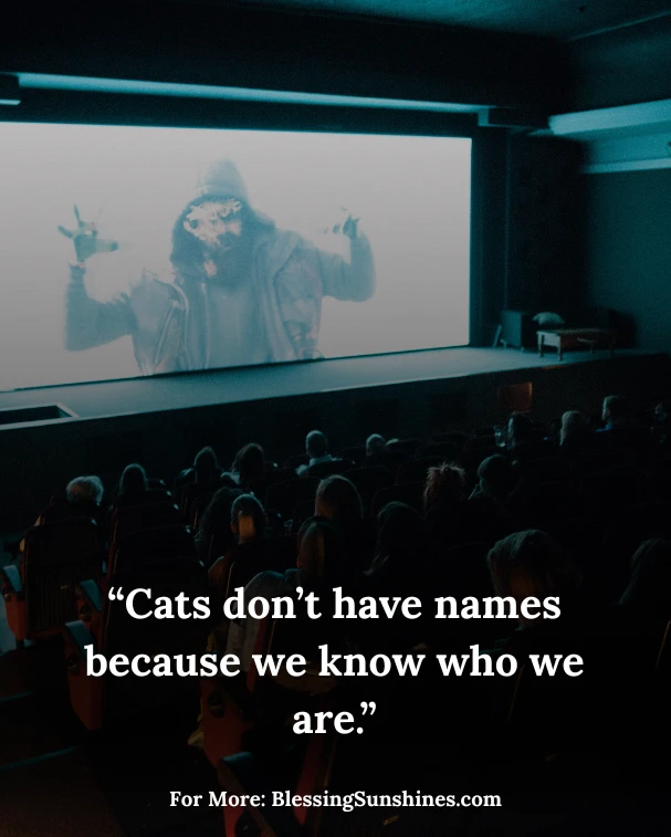 Memorable Coraline Cat Quotes