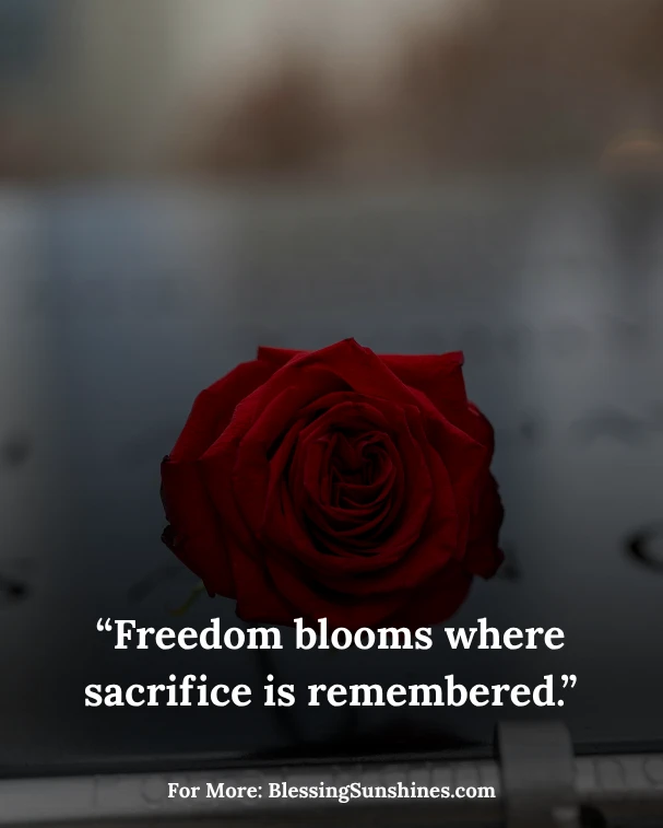 Memorial Day Blessings Images & Captions, “Heaven gained heroes; earth gained freedom.”