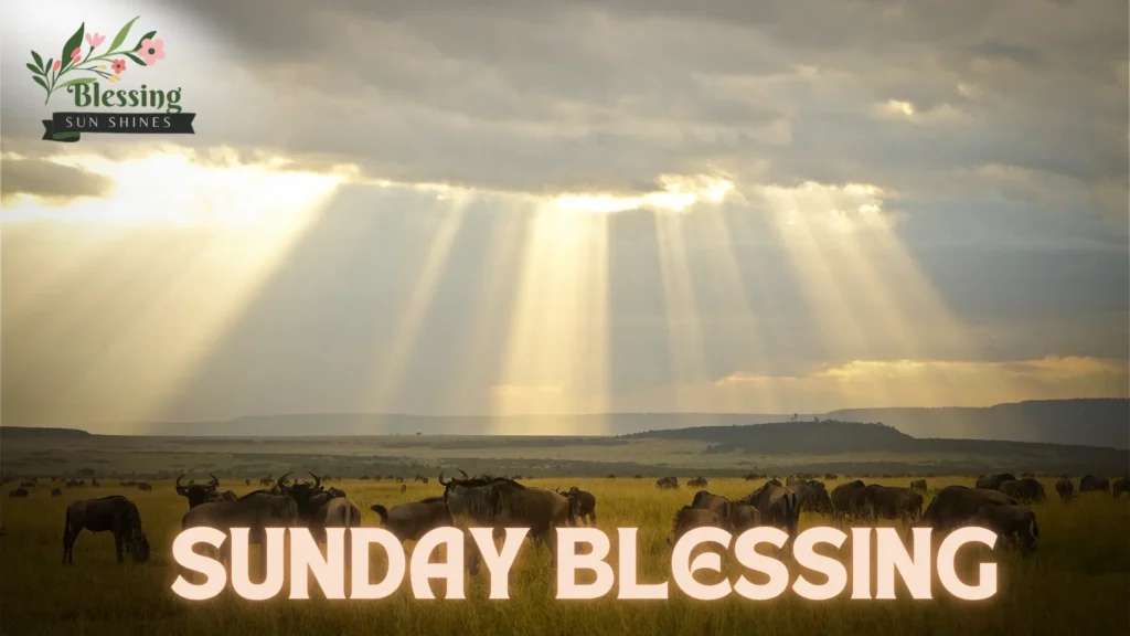 Sunday Blessings