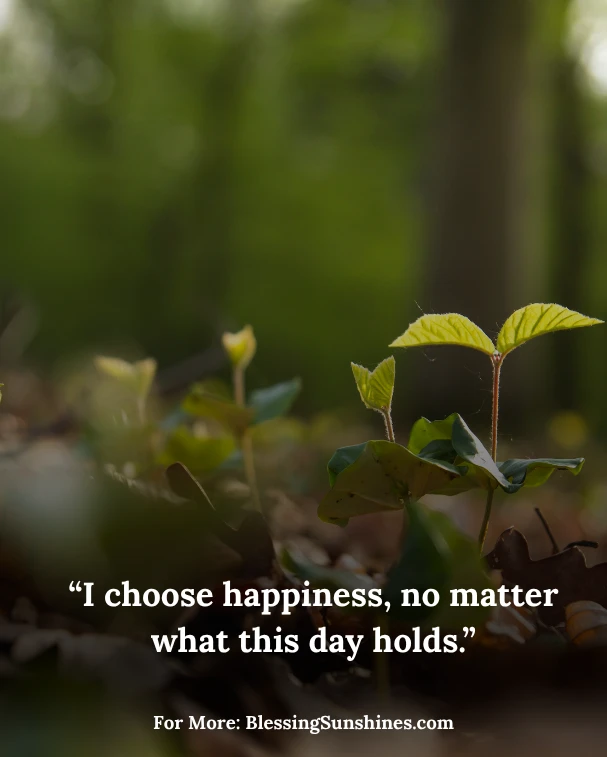 Happy Tuesday Affirmations