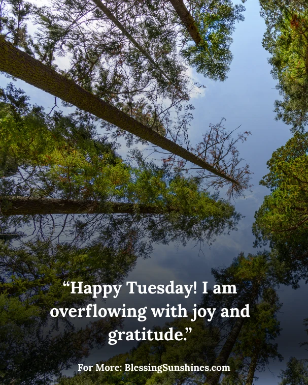 Happy Tuesday Affirmations
