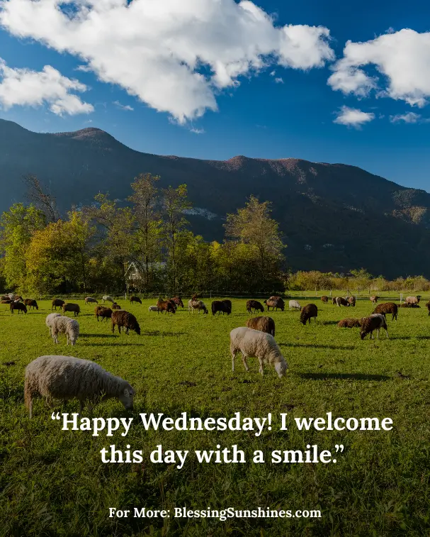 Happy Wednesday Affirmations
