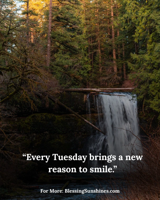 Tuesday Affirmation Quotes