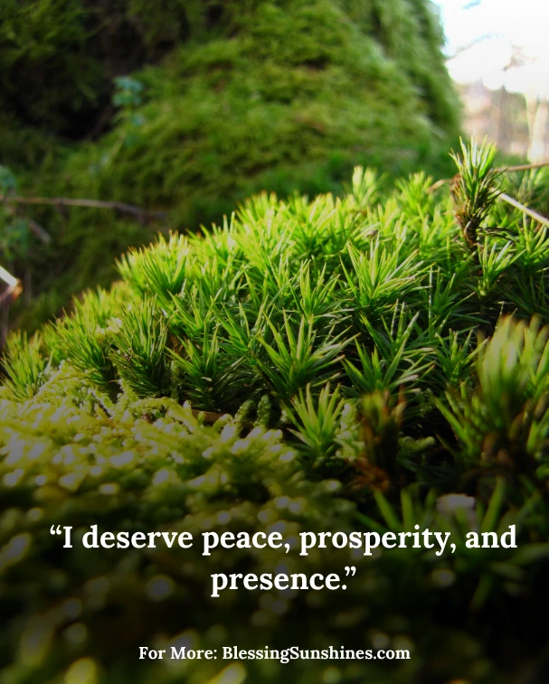 Tuesday Affirmation Quotes
