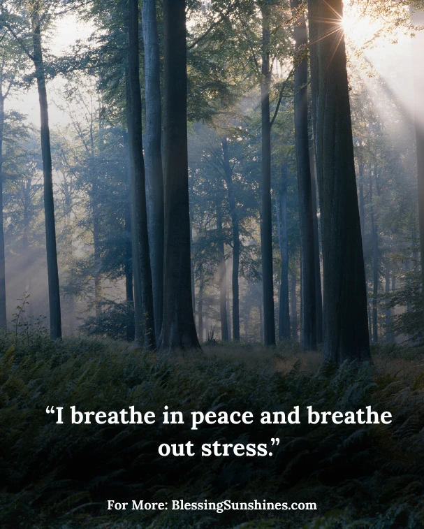 Tuesday Affirmation Quotes