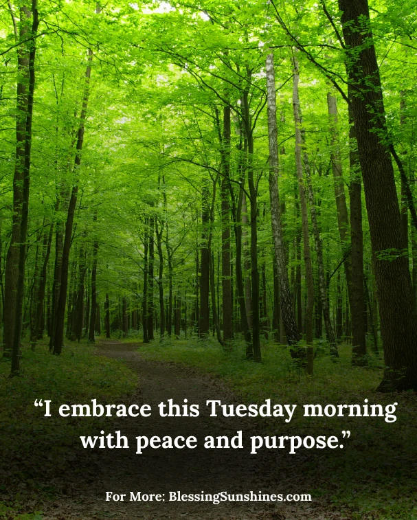 Tuesday Morning Affirmations