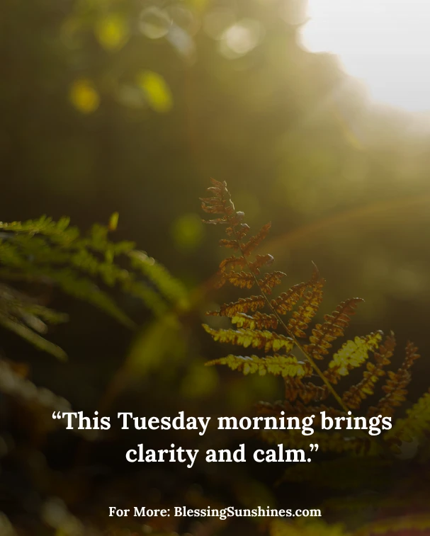 Tuesday Morning Affirmations